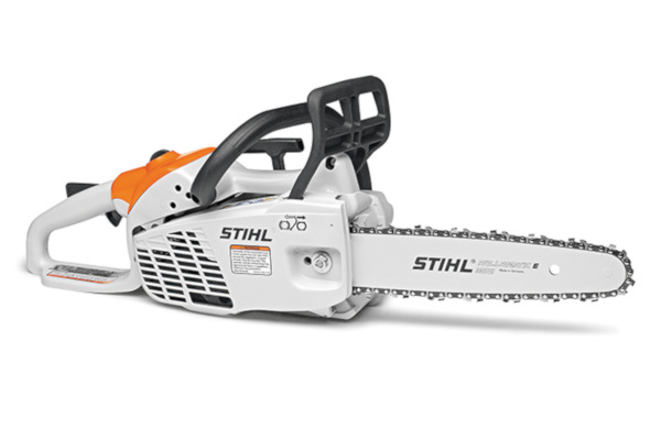 Stihl MS 194 C-E for sale at Cape Fear Tractor & Saw, North Carolina