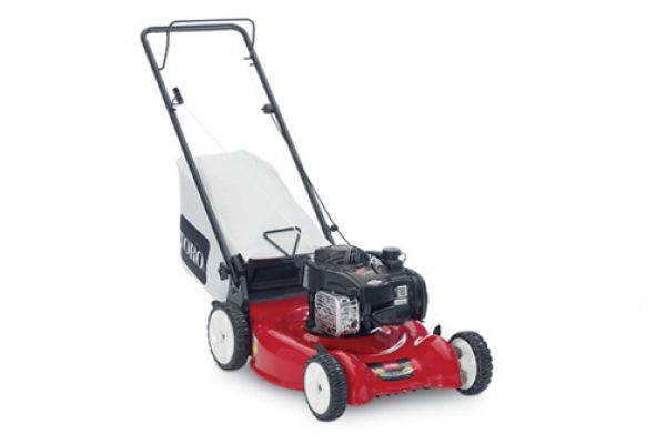 Toro | Recycler® Push Mowers | Model 20" (51 cm) Push Mower (50-State) (20319) for sale at Cape Fear Tractor & Saw, North Carolina